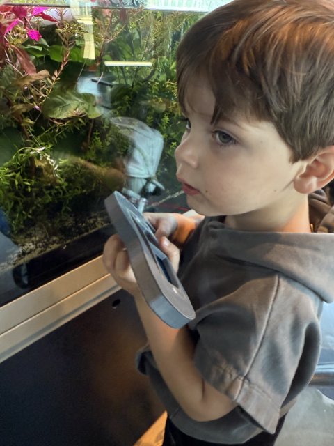 Curious Encounters at the Aquarium