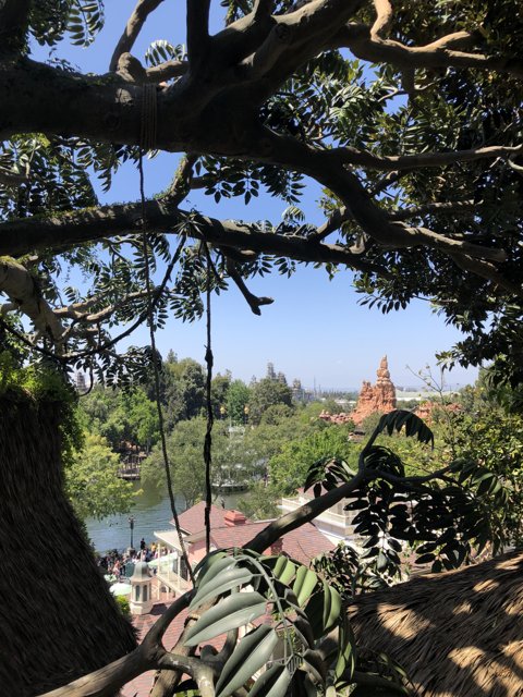 Tree-top Cityscape