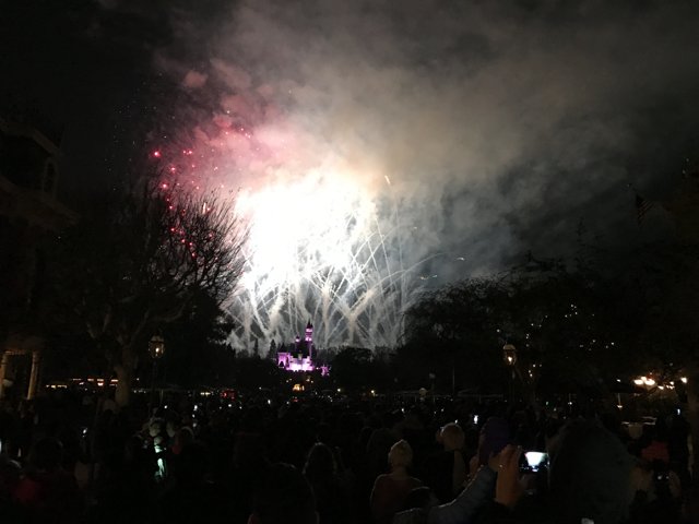 Disneyland Fireworks Spectacular Lights Up the Night Sky