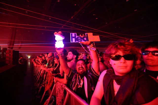 Ecstatic Crowd Surges at Wobbleland Festival 2026