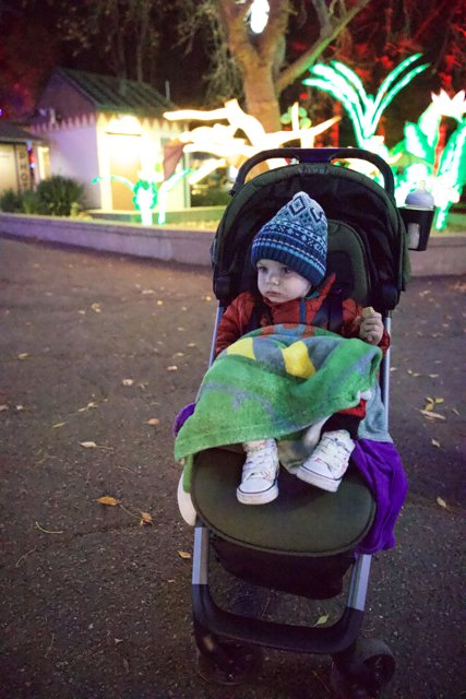 Oakland Zoo Adventure: A Baby's Winter Tale