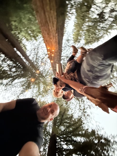 Twilight Laughter Among the Redwoods