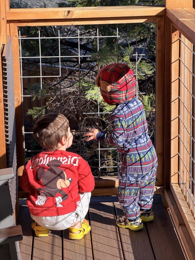 Two Toddlers Exploring a Snowy Yosemite Deck Together