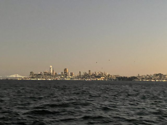 A Panoramic View of San Francisco's Metropolis