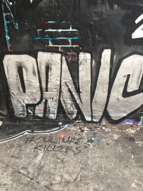 Panic Graffiti in Los Angeles