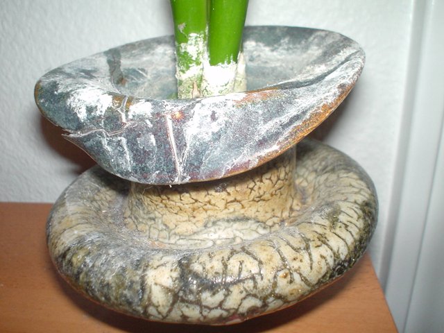 Serenity in a Vase
