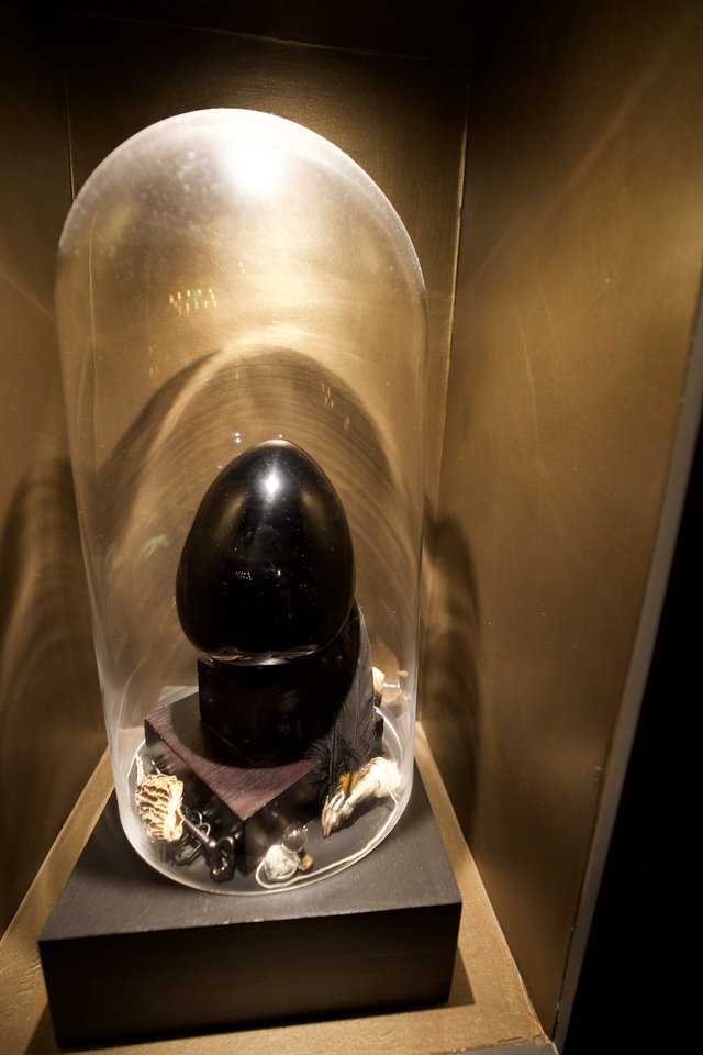 Polished Black Stone Egg in Glass Display Case