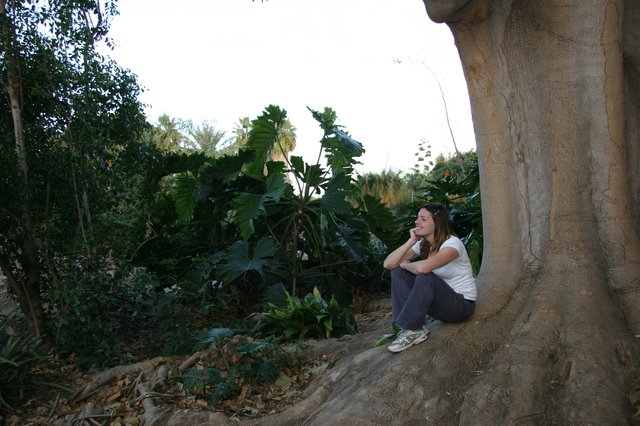 Young Woman Resting Against Ancient Tropical Tree Roots
