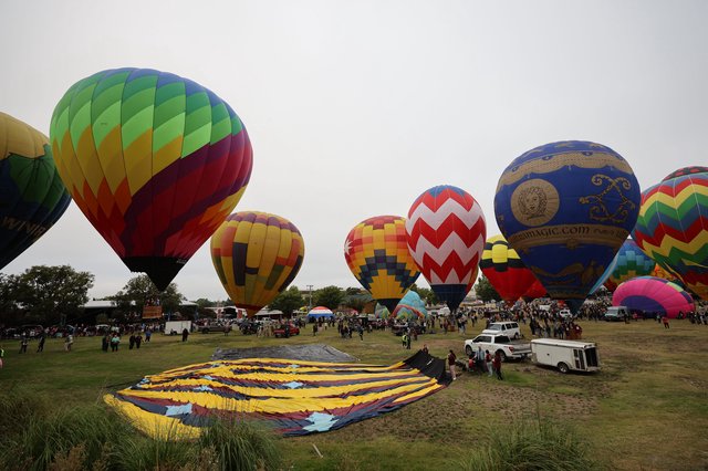 Colorful Hot Air Balloons Rise at Sonoma County Classic