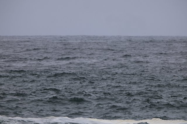 Turbulent Grey Seas Under Overcast Skies