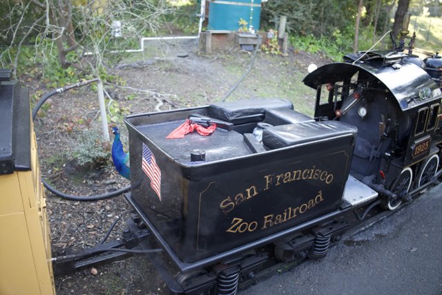 Charming Locomotive Ride at San Francisco Zoo