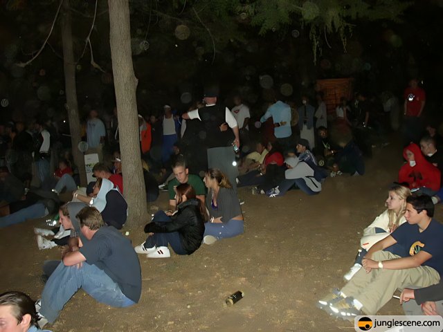 Nighttime Gathering in the Grove