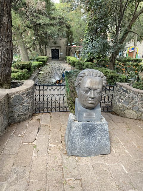 Peacock Man Statue in Xochimilco Garden
