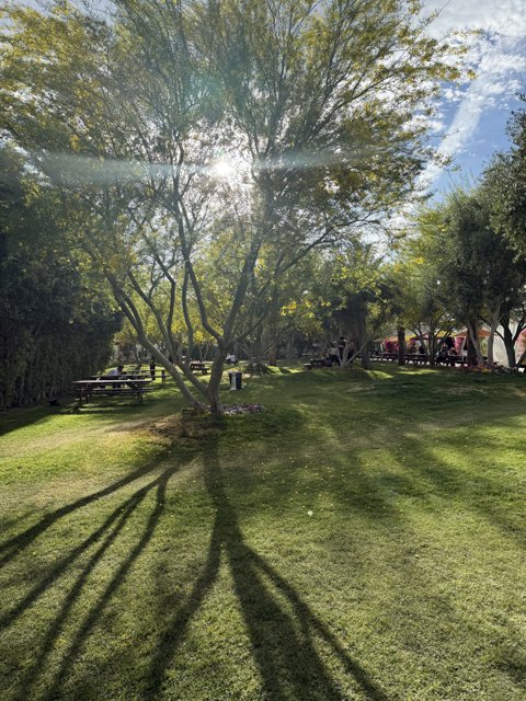 Serene Afternoon at Empire Polo Club