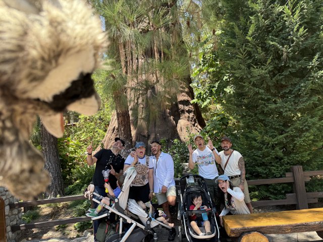 Woodland Adventure at Disney