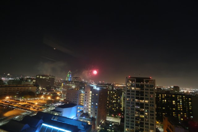 Fireworks illuminate the city skyline