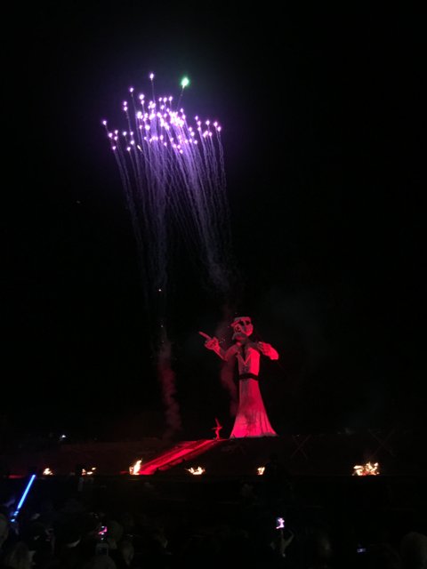 A Festive Firework Moment