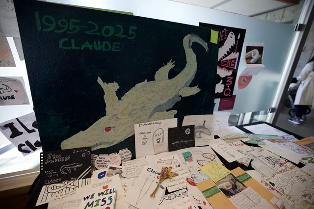 Memorial Tribute for Claude the Alligator 1995-2025