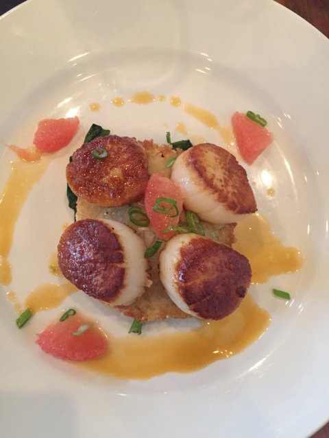 Scallops on a Plate