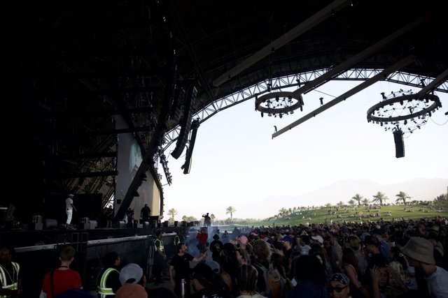 Electric Vibes Under a Swaying Silhouette: Coachella 2024