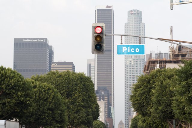 Picco Traffic Light in the Heart of the Metropolis