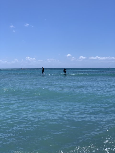 Surfing the Waikiki Waves