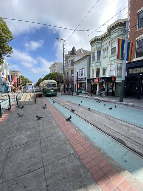 Tram and Pigeons on a City Street