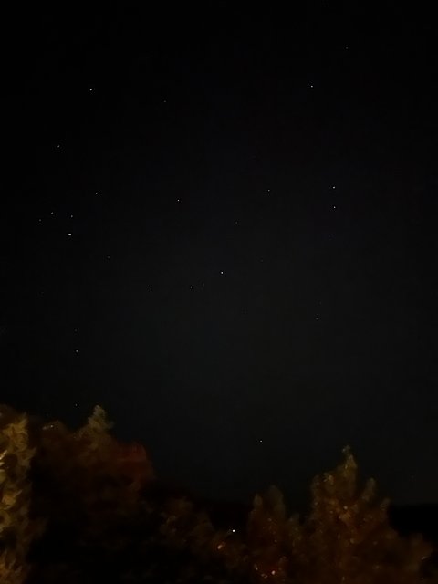 Starry Night in Coconino National Forest