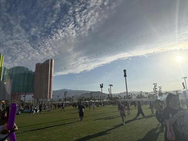 Sunlit Harmony at Empire Polo Club