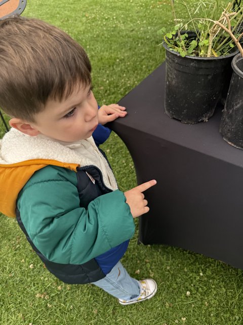 Curious Exploration