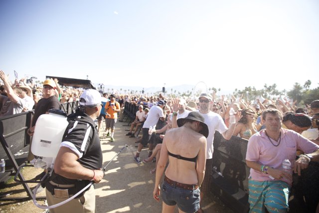 Crowding the Beats: Music Festival Madness