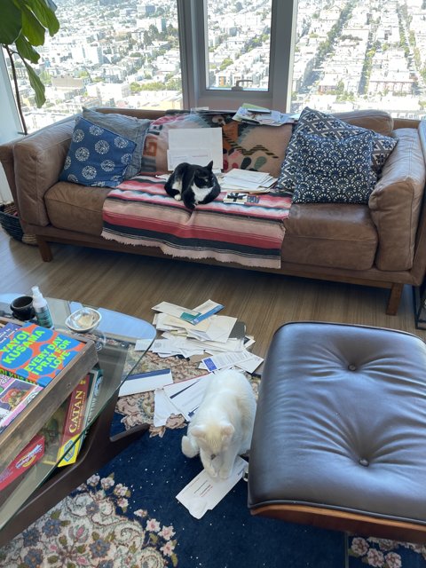 Cozy Living Room with Feline Company