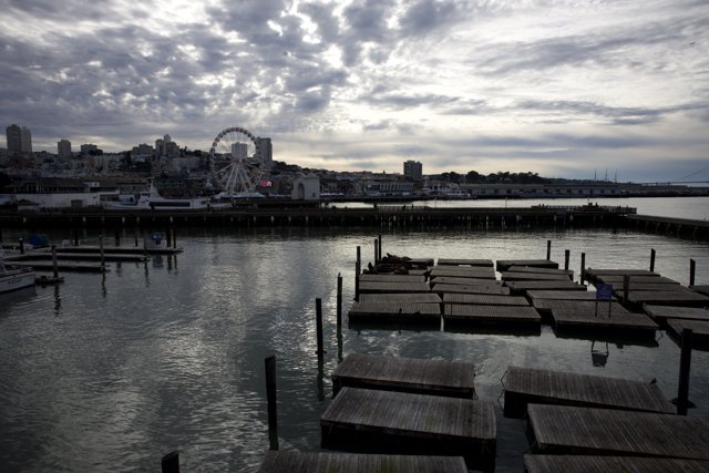 Harboring Tranquility: The Marina View from the Pier, 2024