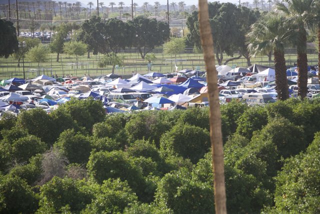 Summer Camping at Coachella