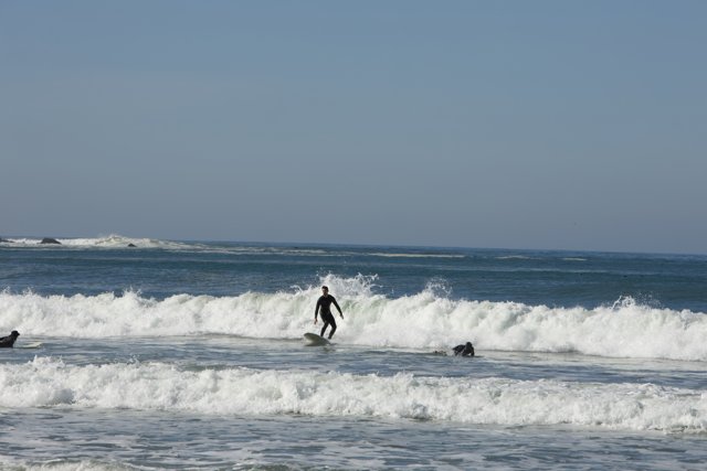 Carving the Blue- 2023 Pacifica Surf Session