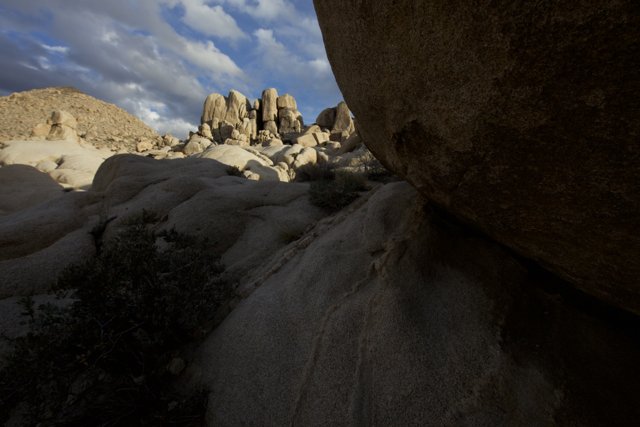 Majestic Rock Formations in Joshua Tree National Park