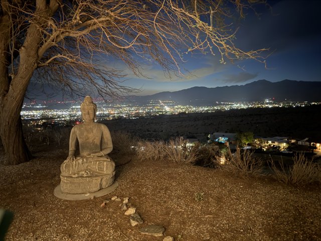 Serenity in the Desert