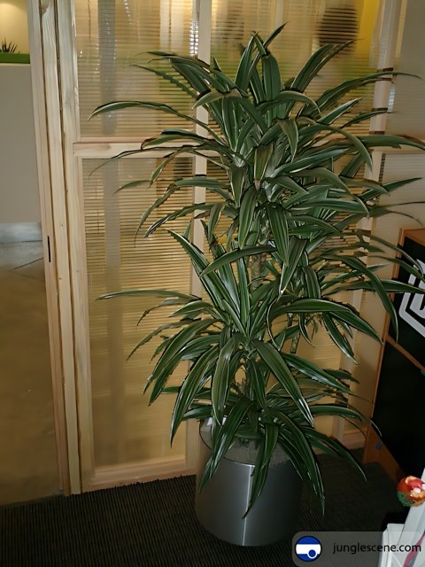 Potted Plant in an Office