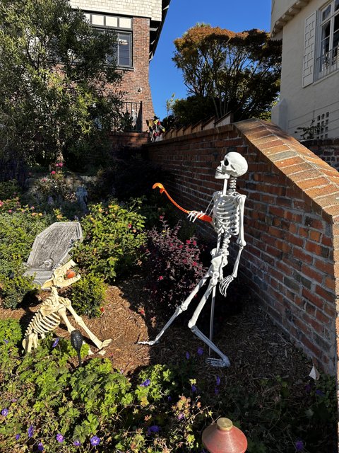 Skeleton and Dog on the Garden Path