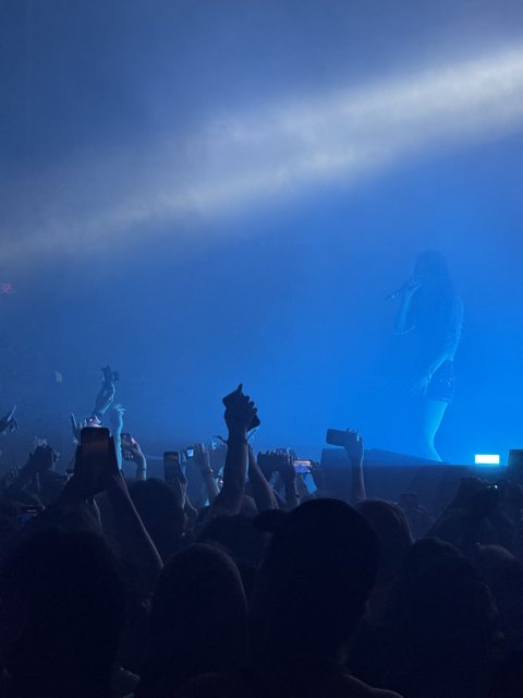 Electric Harmony