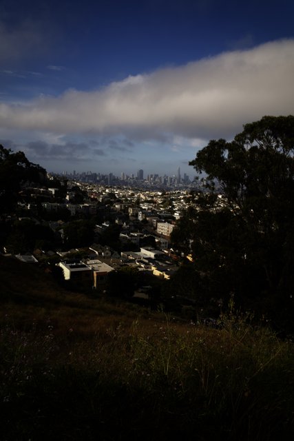 San Francisco: A Hillside Perspective
