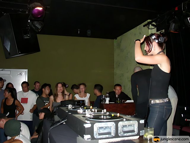 DJ Vibes at the Night Club