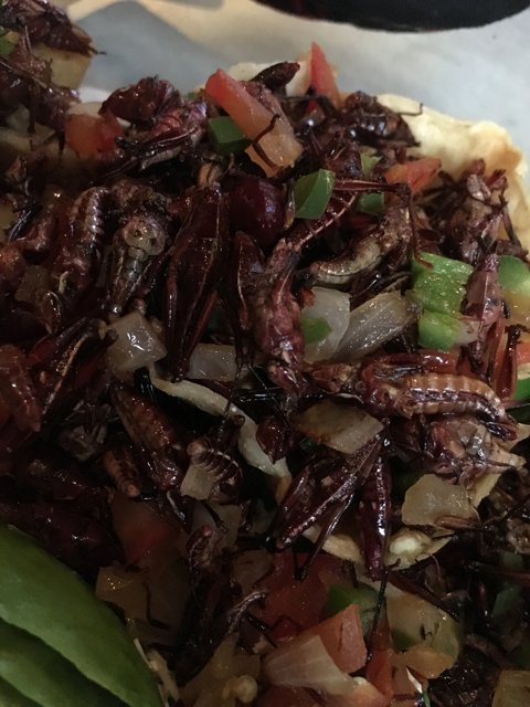 Fried Insects with Green Onions