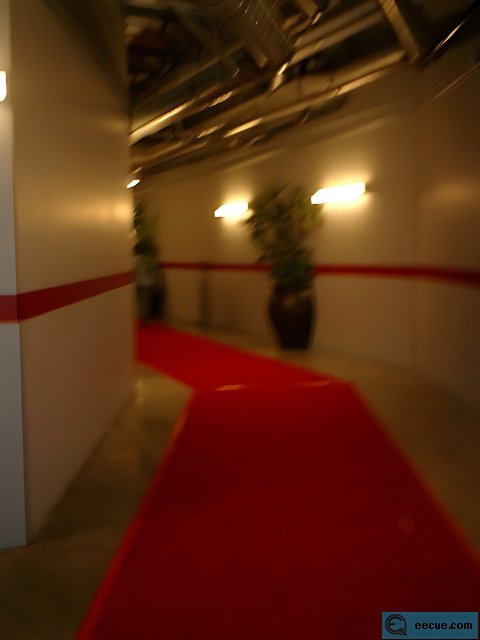 Fashionable Red Carpet Premiere