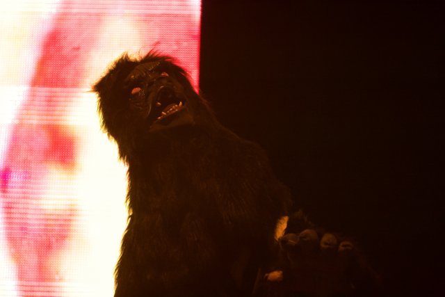Gorilla Takes the Stage