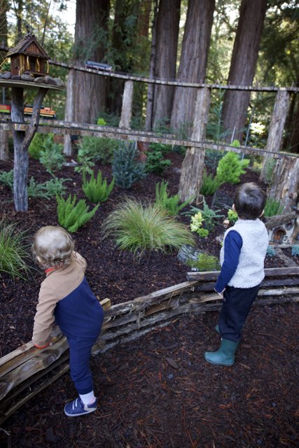 Enchanted Explorers in Thistlewyck Grove