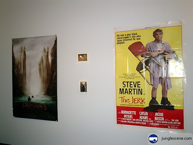Movie Posters in the Room