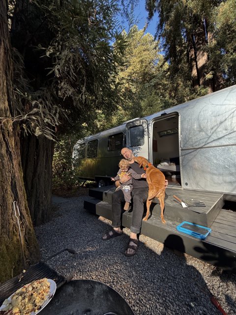 Serenity in the Redwoods
