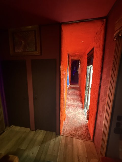 Enigmatic Corridor of Color