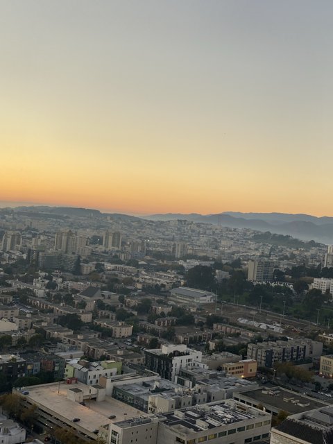 A Bird's Eye View of San Francisco's Urban Metropolis
